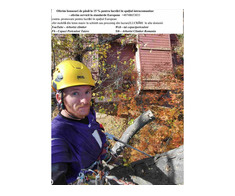 Toaletare / taiere arbori mari Ilfov Bucuresti cu si fara macara /nacela prb