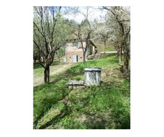 Casa Seini Maramures, 2 camere, teren 3.600 mp, 42.000 euro - Imagine 4/6