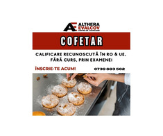 Calificare recunoscută, Fără curs, Prin Examene - Imagine 5/8