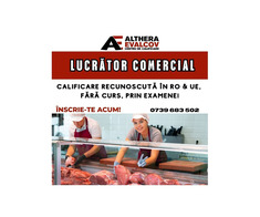 Calificare recunoscută, Fără curs, Prin Examene - Imagine 6/8