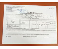 929mp pădure în Satu Mare - Imagine 3/6