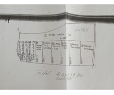 929mp pădure în Satu Mare - Imagine 6/6