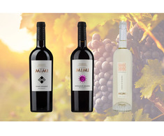 Gustă vinurile Moldovei și lasă-te surprins de aromele autentice locale