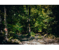 Loturi de vanzare, Dambovita, cel mai mic pret din zona!