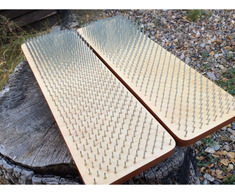 Placa anatomicа Sadhu.