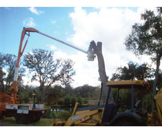 Defrisari/curatari terenuri-cu utilaje specializate