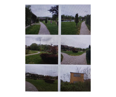 Vand la licitatie Complex turistic Murighiol - Imagine 8/8