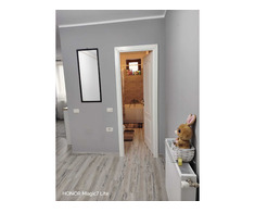 Apartament cu o camera,spatios,si modern ,comp.mobilat Cart. Tei. - Imagine 5/7