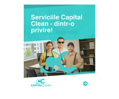 SOLUȚII PENTRU ELIMINAREA PLOȘNIȚELOR DE PAT – SERVICII DDD