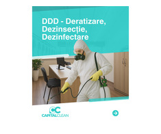 SOLUȚII PENTRU ELIMINAREA PLOȘNIȚELOR DE PAT – SERVICII DDD