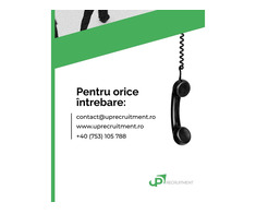 Servicii de leasing și recrutare de personal din Asia - Imagine 5/5